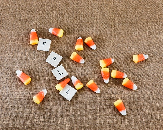 Free download Candy Corn Flat Lay Fall -  free photo or picture to be edited with GIMP online image editor