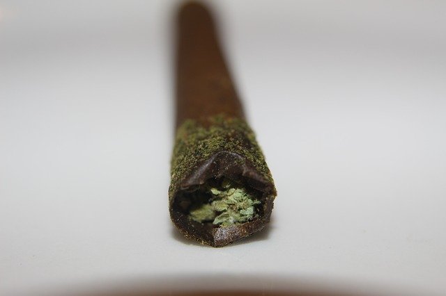 Free download Canna Stick Infused Pre-Rolled -  free photo or picture to be edited with GIMP online image editor