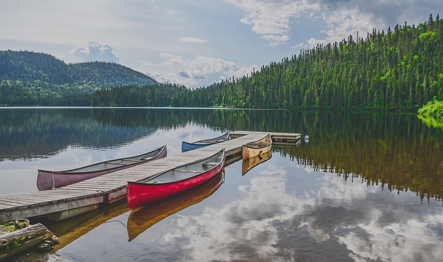 Free download canoe lake forest pontoon free picture to be edited with GIMP free online image editor