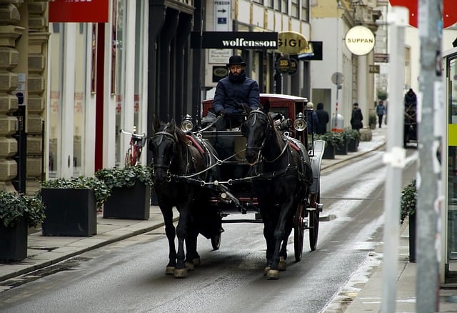 Free download carriage horses fiaker coach free picture to be edited with GIMP free online image editor