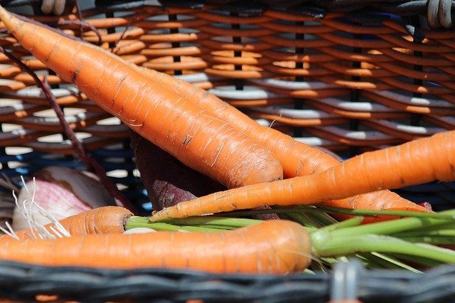 Free download Carrot Basket Harvest -  free photo or picture to be edited with GIMP online image editor