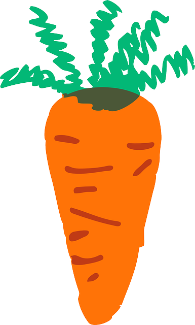 Free download Carrot Orange - Free vector graphic on Pixabay free illustration to be edited with GIMP free online image editor