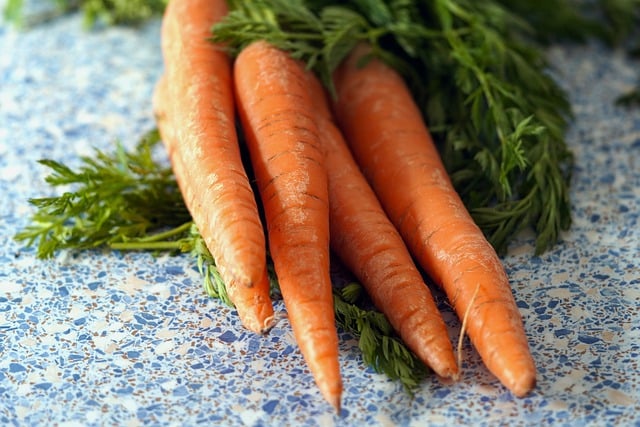 Free download carrots harvest fresh garden free picture to be edited with GIMP free online image editor