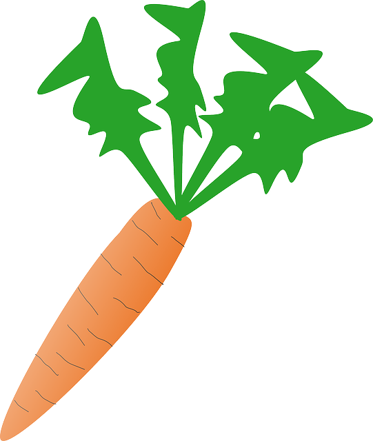 Free download Carrot Vegetable Fresh - Free vector graphic on Pixabay free illustration to be edited with GIMP free online image editor