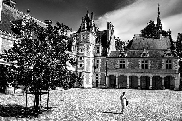 Free download Castle Blois Architecture -  free photo or picture to be edited with GIMP online image editor