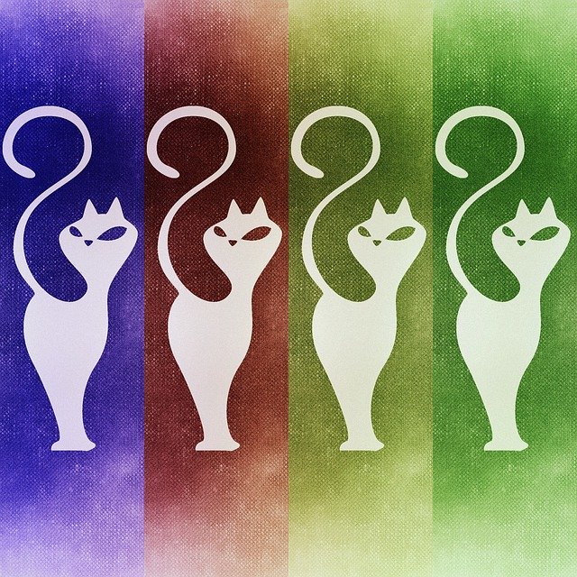 Free download Cat Abstract Background -  free illustration to be edited with GIMP free online image editor