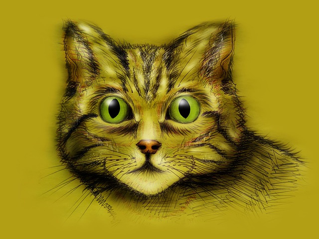 Free download Cat CatS Eyes free illustration to be edited with GIMP online image editor