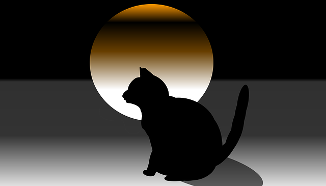 Free download Cat Dark Landscape -  free illustration to be edited with GIMP free online image editor