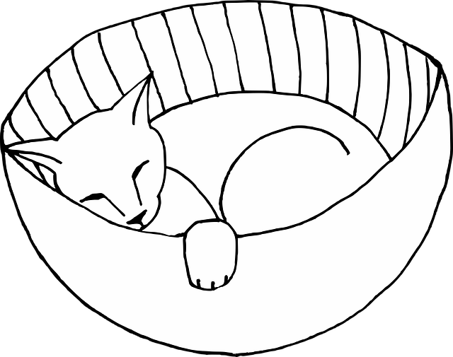 Free download Cat Feline Sleeping - Free vector graphic on Pixabay free illustration to be edited with GIMP free online image editor