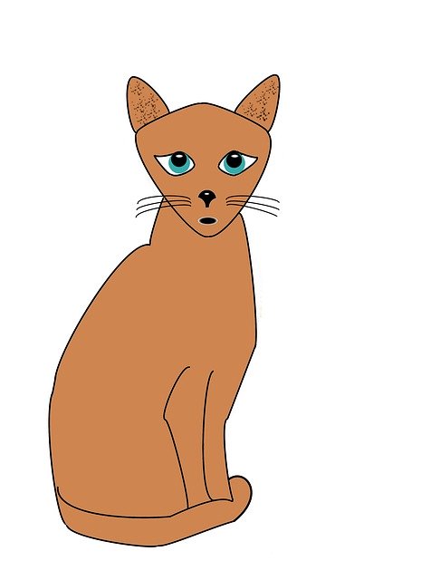 Free download Cat Green Eyed Pet -  free illustration to be edited with GIMP free online image editor