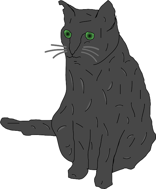 Free download Cat Grey Green Eyed Big - Free vector graphic on Pixabay free illustration to be edited with GIMP free online image editor