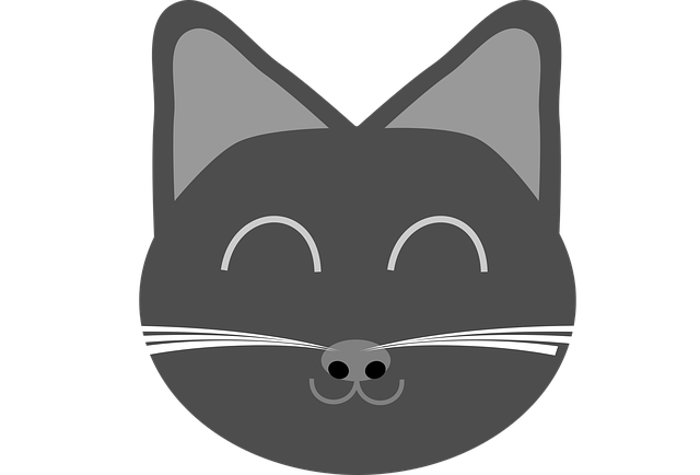 Free download Cat Kitten Kitty - Free vector graphic on Pixabay free illustration to be edited with GIMP free online image editor