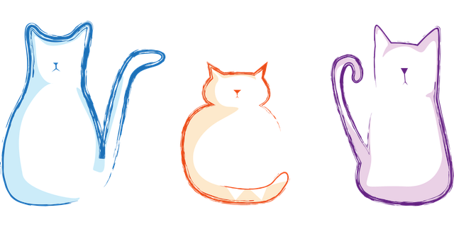 Free download Cat Kitten Tender - Free vector graphic on Pixabay free illustration to be edited with GIMP free online image editor