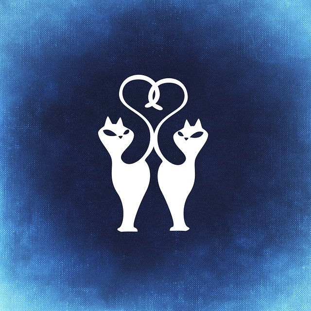 Free download Cat Love Togetherness -  free illustration to be edited with GIMP free online image editor