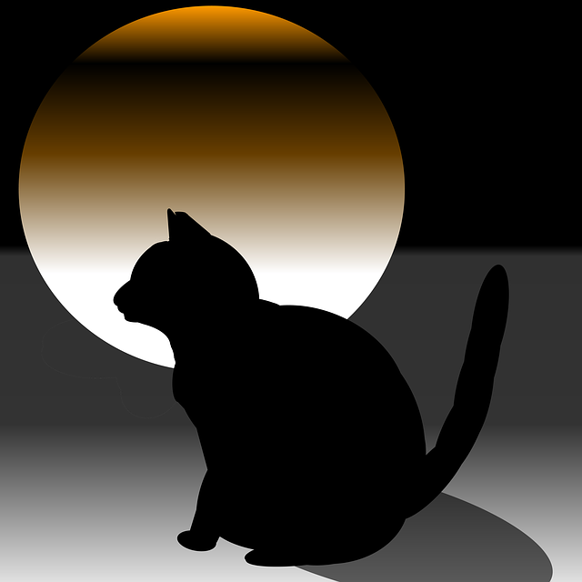 Free download Cat Moon Twilight -  free illustration to be edited with GIMP free online image editor