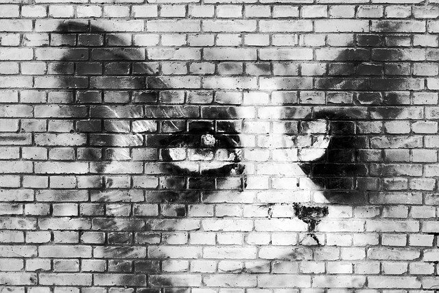 Free download Cat Wall Mural -  free photo or picture to be edited with GIMP online image editor