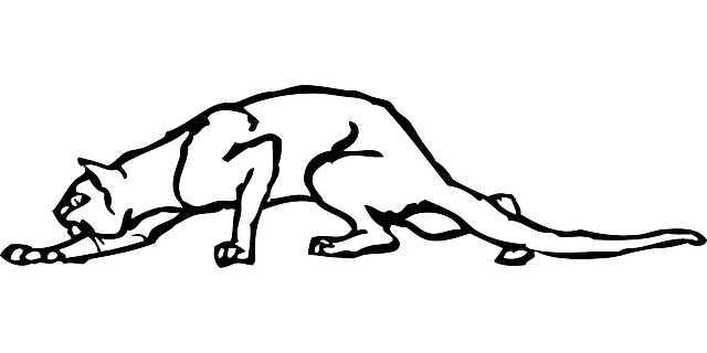 Free download Cat Wild Dangerous - Free vector graphic on Pixabay free illustration to be edited with GIMP free online image editor