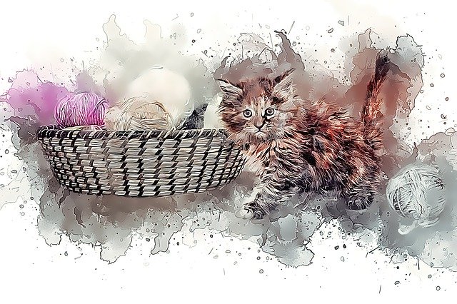 Free download Cat Young Kitten Ball Of -  free illustration to be edited with GIMP free online image editor