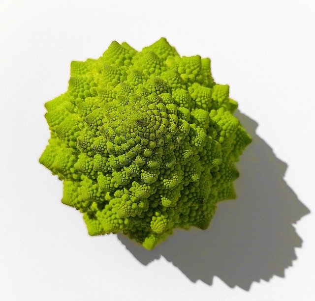 Free download Cauliflower Green Mandelbrot -  free photo or picture to be edited with GIMP online image editor