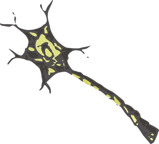 Free download Cell Neuron Nerve - Free vector graphic on Pixabay free illustration to be edited with GIMP free online image editor