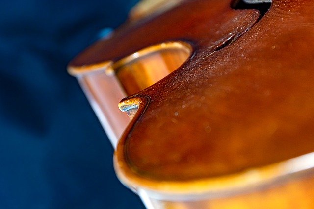 Free download cello rosin dust cello curves bass free picture to be edited with GIMP free online image editor