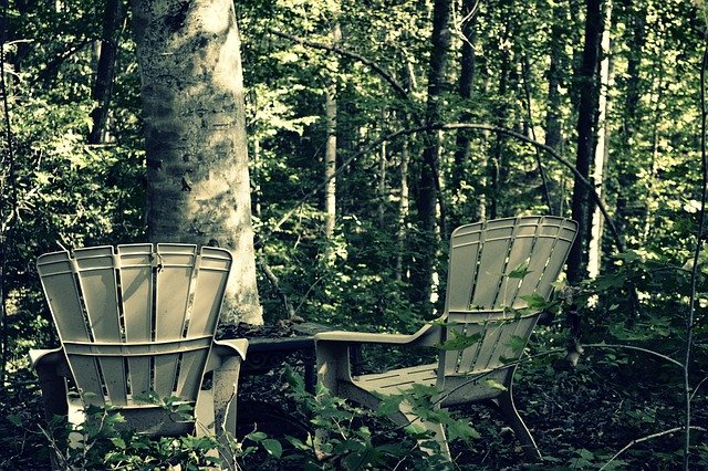 Free download Chairs Woods Nature -  free free photo or picture to be edited with GIMP online image editor