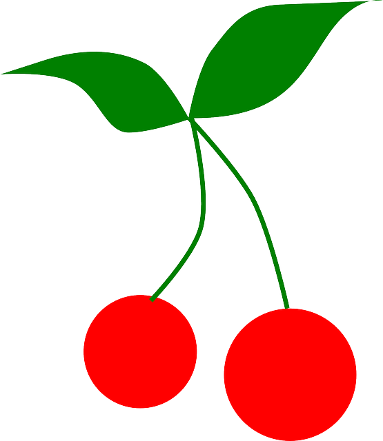 Free download Cherries Fruit Leaves - Free vector graphic on Pixabay free illustration to be edited with GIMP free online image editor