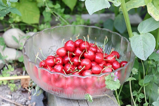 Free download Cherries Goodness Heart -  free photo or picture to be edited with GIMP online image editor