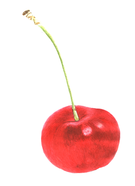 Free download Cherry Fruit -  free illustration to be edited with GIMP free online image editor