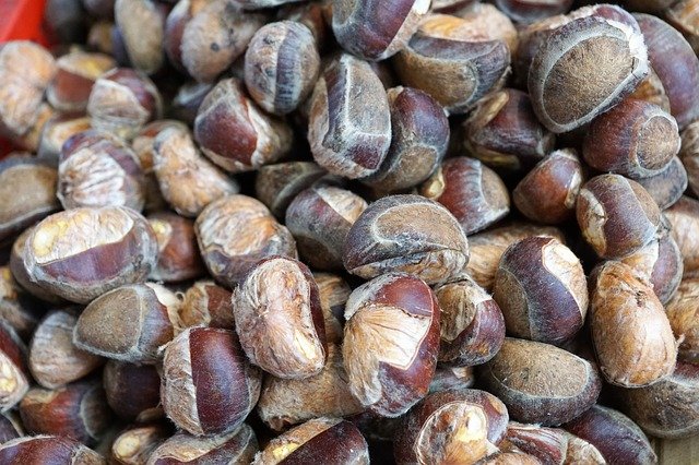 Free download Chestnut Harvest Healthy -  free photo or picture to be edited with GIMP online image editor