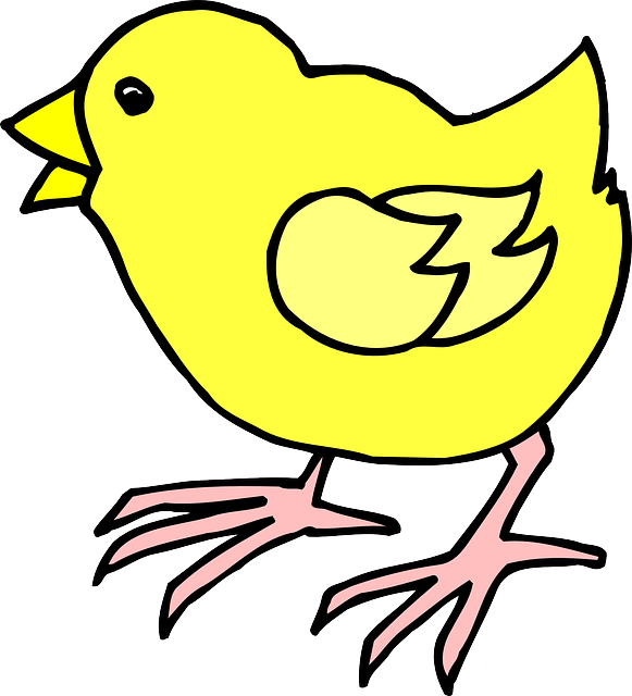 Free download Chick Baby Chicken - Free vector graphic on Pixabay free illustration to be edited with GIMP free online image editor