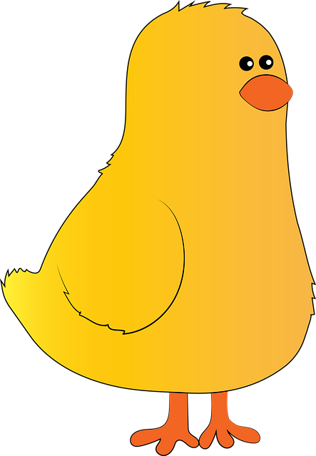 Free download Chick Farm Hen -  free illustration to be edited with GIMP free online image editor