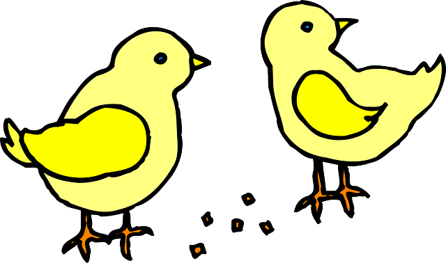 Free download Chicks Baby Yellow - Free vector graphic on Pixabay free illustration to be edited with GIMP free online image editor