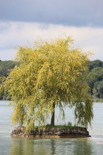 Kostenloser Download Chiemsee Ladies Island Lake - kostenloses Foto oder Bild zur Bearbeitung mit GIMP Online-Bildbearbeitung