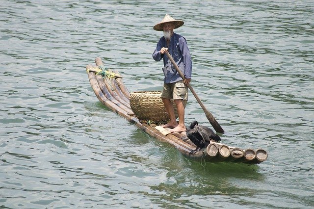 Free download china cormorant lijiang river free picture to be edited with GIMP free online image editor