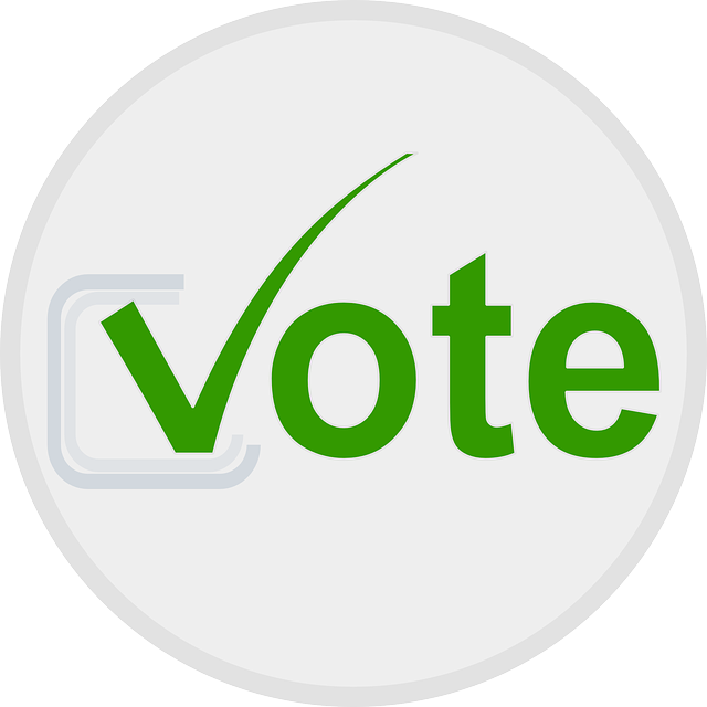 Free download Choice Elect Election - Free vector graphic on Pixabay free illustration to be edited with GIMP free online image editor