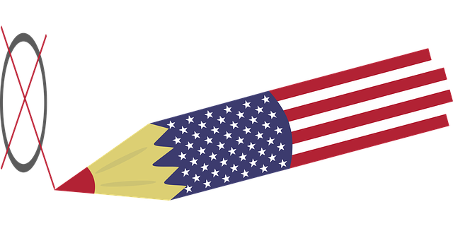 Free download Choice Election Campaign Usa - Free vector graphic on Pixabay free illustration to be edited with GIMP free online image editor