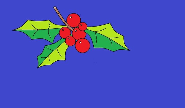 Free download Christmas Berries Red -  free illustration to be edited with GIMP free online image editor