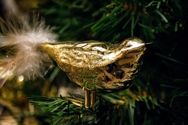 Free download Christmas Bird Gold -  free photo or picture to be edited with GIMP online image editor