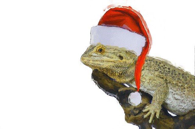 Free download Christmas Lizard Bearded Dragon -  free illustration to be edited with GIMP free online image editor