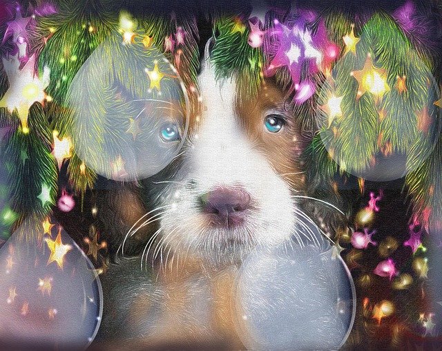 Free download Christmas Puppy Illustration -  free illustration to be edited with GIMP free online image editor