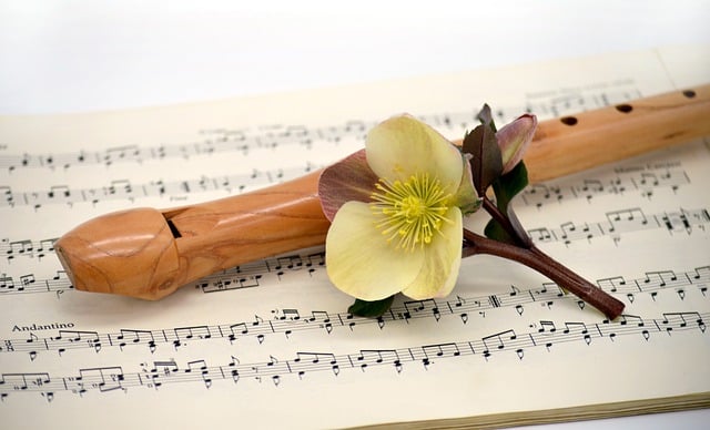 Free download christmas rose flute sheet music free picture to be edited with GIMP free online image editor