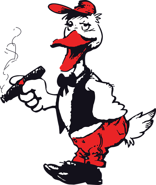 Free download Cigar Duck - Free vector graphic on Pixabay free illustration to be edited with GIMP free online image editor