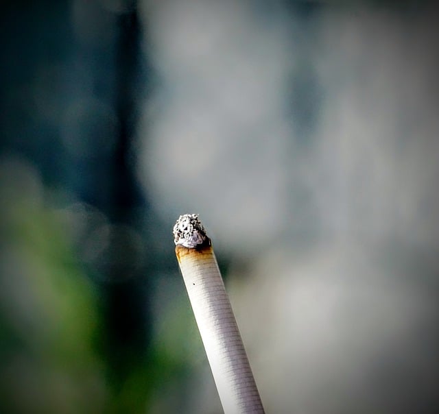 cigarettes embers unhealthy smoking by OffiDocs