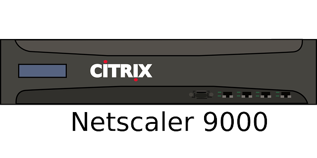 Free download Citrix Netscaler Computer - Free vector graphic on Pixabay free illustration to be edited with GIMP free online image editor