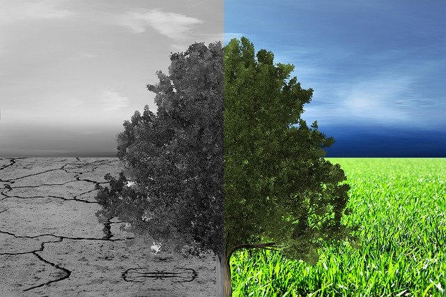 Free download Climate Protection Environment -  free illustration to be edited with GIMP free online image editor