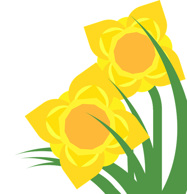 Free download Clipart Daffodil Narcissus -  free illustration to be edited with GIMP free online image editor