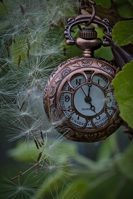 Free download clock pocket watch rezro nostalgia free picture to be edited with GIMP free online image editor