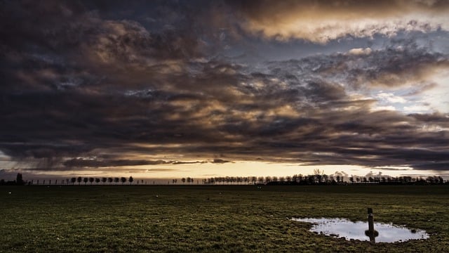 Free download clouds low horizon pool trees free picture to be edited with GIMP free online image editor