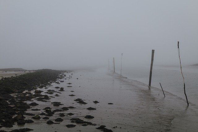 Free download Coast North Sea Fog -  free photo or picture to be edited with GIMP online image editor